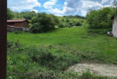 Teren de 4913 mp, în Ionești - 1