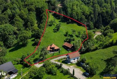 Casă cu 2 camere decomandat cu Teren 4300 Mp în Bran - 5