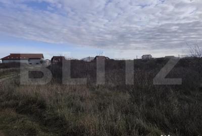 Teren de 10925 mp, în Sânmartin - 4