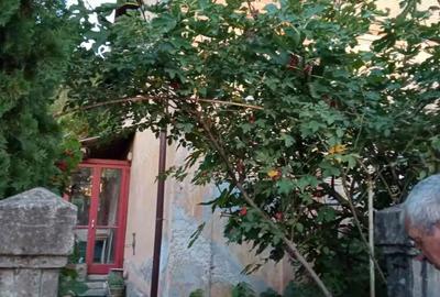 Casă cu 3 camere cu Teren 450 Mp în Doman - 9