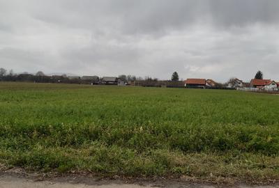 Teren intravilan central utilitati construibil Lunca Calnicului 2325mp - 2