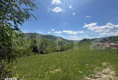 Teren de 5000 mp, în Băișoara - 2