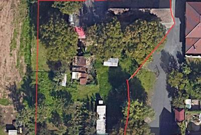 Casă cu 3 camere în 6 Vânători - 2