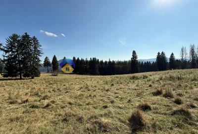 Teren de vanzare 5000 mp - Piatra Neamt - 2