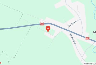 Teren Construcții extravilan de 10000 mp, în Mihăileni - 1