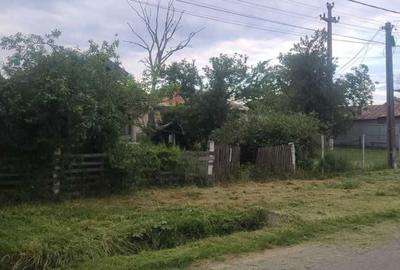 Casă cu Teren 870 Mp în Sârbeni - 3