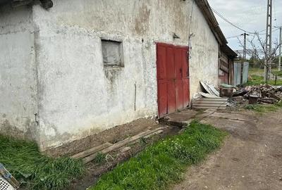 Depozit Grajd incomuna Tulca - 2