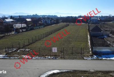 Spațiu comercial, în Lunca Calnicului - 3