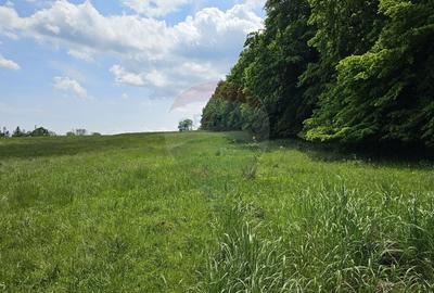 Teren Ilisesti  7000mp extravilan/ DN 17, Suceava - 15