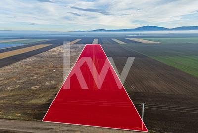 Teren Construcții intravilan de 16000 mp, în Hărman - 10