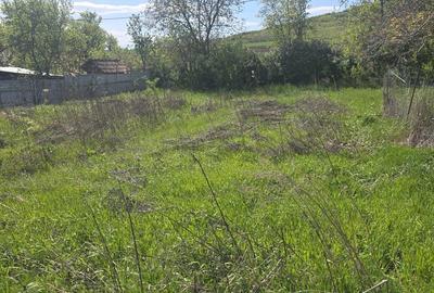 Teren de 5000 mp, în Năoiu - 3