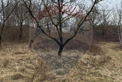 Teren în Central - 14