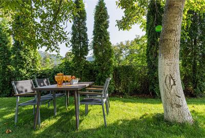 Vila Exclusivista Drumul Poienii / Pretabil Regim Hotelier - 10