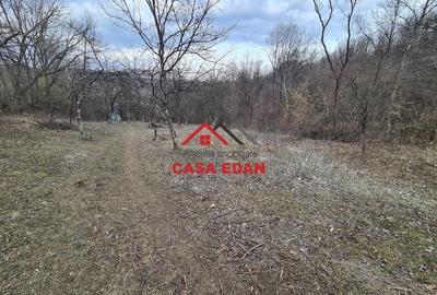 Teren de 3448 mp, în Provița de Jos - 18