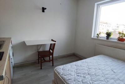 Mini-Garsoniera Nicolina-Frumoasa-Continental - 4