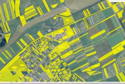 Teren  in suprafata de 4345 mp, Avrig - 4