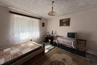 Casa cu teren 8000 mp. - Cetariu - IMOBIHOR - 2