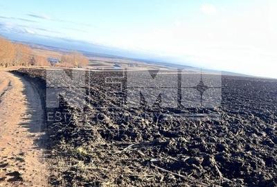 Teren I Suceava I Moara Nica I 2500 Mp I 54.900 Euro - 7