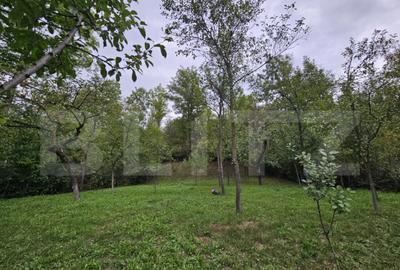 Casa la cheie, teren de 1600 mp, sat Macau, schimb cu aparta - 5