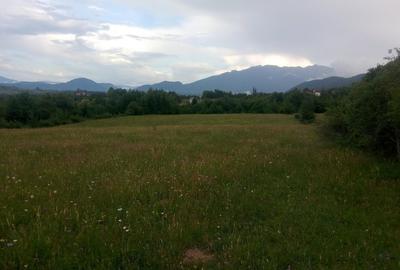 Teren parcelat in suprafata de 1100 mp, in Tohanita acces din soseaua Branului - 2