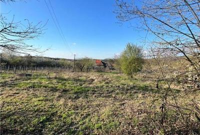 Teren de 818 mp, în Dealuri Oradea