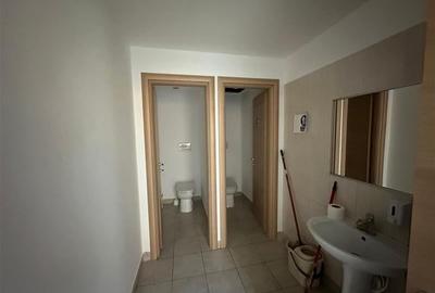 Birouri in cladirea Domus II Office Building - 19