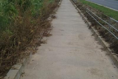 EXCLUSIV! Teren intravilan  - 2 Mai - Vama Veche - 20 euro/mp(E3) - 11