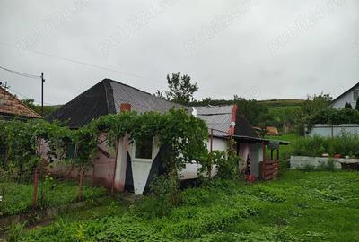 Vand casa - 3