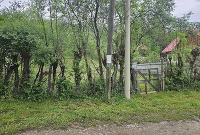Teren de 800 mp, în Borzești - 6