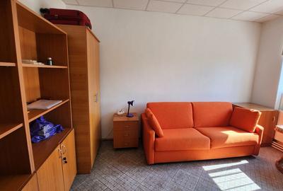 Spatiu industrial productie/ depozitare, Timiș - 24