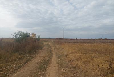 Teren Construcții intravilan de 9844 mp, în Dumbrava