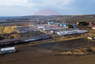 Teren Construcții intravilan de 39600 mp, în Traian - 5