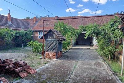 Naidas, Casa 7 Incaperi, 842mp Teren, Pret Negociabil - 5