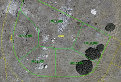 Terenuri in Bucegi, Zona Alpina Inalta, pentru dezvoltare cabane, vile turistice - 2
