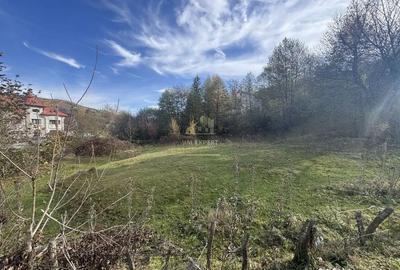 Teren de 13167 mp, în Bughea de Sus - 15