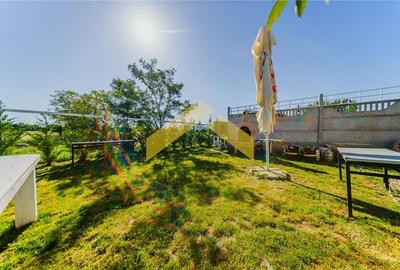 Oportunitate investitie domeniu de agrement si sala de evenimente de vanzare - 21