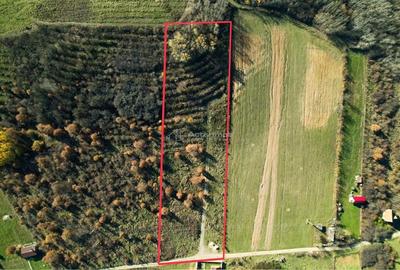 Teren de 7744 mp, în Cordău - 5