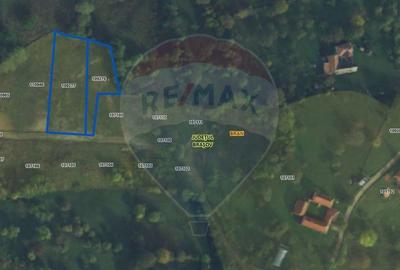 Comision 0% | Teren intravilan 3000 mp| Sohodol | Priveliste superba - 6
