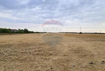 Teren de 2670 mp, în Buftea