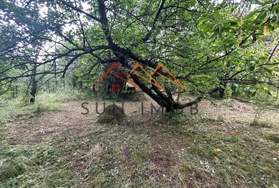 Teren intravilan, 1900 m2, zona Campinita, Campina, Prahova - 15