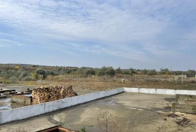 Ovidiu 6 ha teren intravilan construibil îngrădit și platforma betonata. - 9