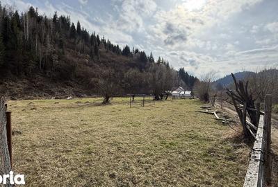 Teren de 500 mp, în Fundu Moldovei - 3