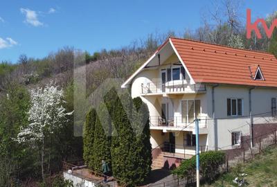 Casa deosebita Leamna, Dolj, priveliste panoramica