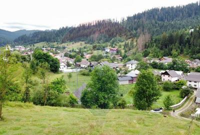 Teren de 6865 mp, în Voroneț - 17