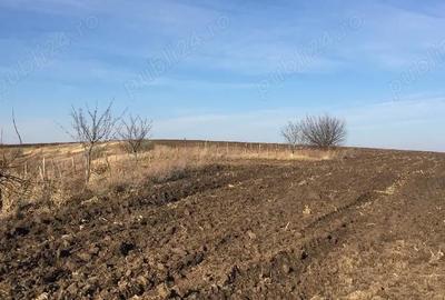 Teren de 7000 mp, în Dorobanț - 7