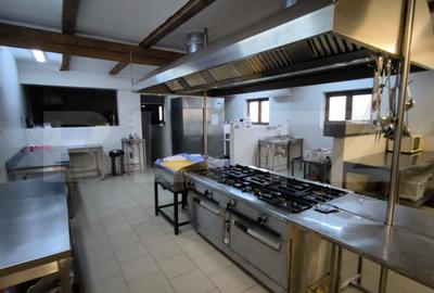 Proprietate specială, de 1,600 mp, în Cernele - 10