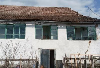 Casă cu 3 camere cu Teren 1800 Mp în Grânari