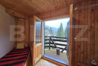 Cabana in Poiana Horea, Beli?-Fantanele, 4950 teren - 10