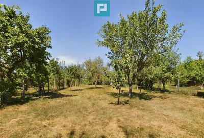 Casa stil conac pe drumul Ceta?ii - ?iria - 3