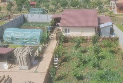 Casă cu 4 camere în Dârvari - 2